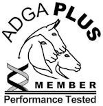 ADGA plus logo